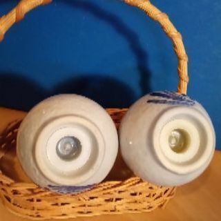ヨーロッパで手に入れた塩コショウ入れの画像
