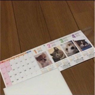 2018年動物カレンダー