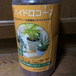 ハイドロコーン 観葉植物用