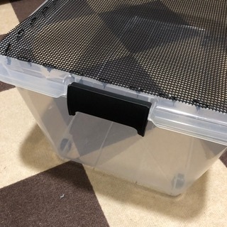 コオロギ デュビア 飼育ケースの画像