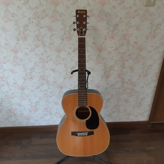 取りに来れる方　フォークギター Morris