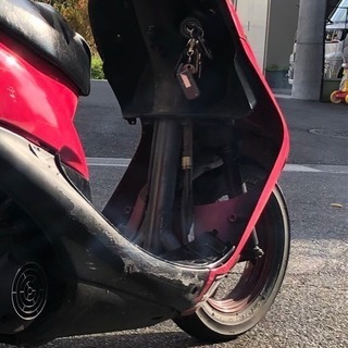ライブディオ の画像