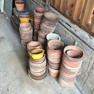 100個程度の鉢植え
