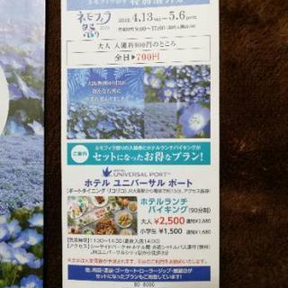 ネモフィラ祭り 特別割引券 開催中