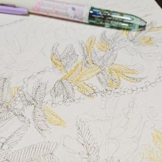 だれでも！お絵描き！