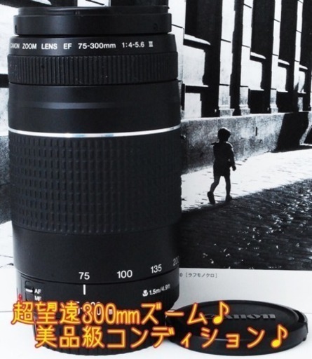 ●美品●300mmの人気超望遠●運動会に最適●キャノン 75-300mm III ゆうパック代引き発送！送料、代引き手数料無料！