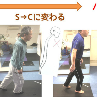 無料モニターで当院で腰痛などを治してみませんか？　