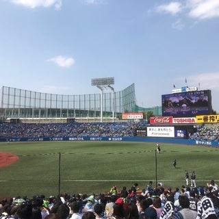 ヤクルトのグルチャメンバー大募集❗️