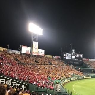 野球観戦