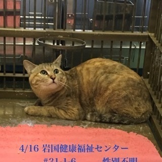 岩国健康福祉センター 収容