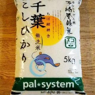 千葉産こしひかり無洗米5kg
