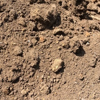 庭土、お譲りしますの画像