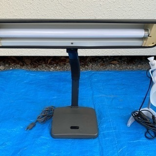 無料！照明の画像