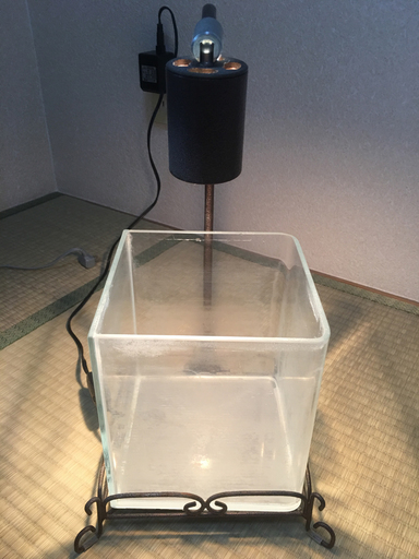 小型水槽レガーロ＋その他アクアリウム用品セット2000円