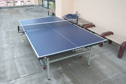 双魚/DOUBLE FISH セパレート式 卓球台 201B 国際規格 折りたたみ キャスター付き  ☆ PayPay(ペイペイ)決済可能 ☆ 札幌市 清田区 平岡