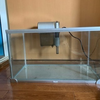 水槽の画像