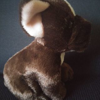 可愛らしいフレンチブルドックのぬいぐるみの画像