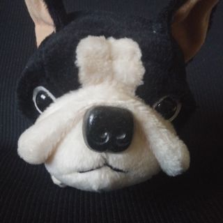 可愛らしいフレンチブルドックのぬいぐるみの画像