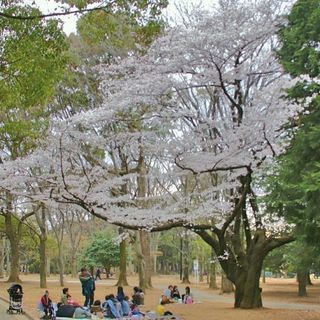 ４月２１日(日)オフ会(レク会)参加メンバー募集  - メンバー募集