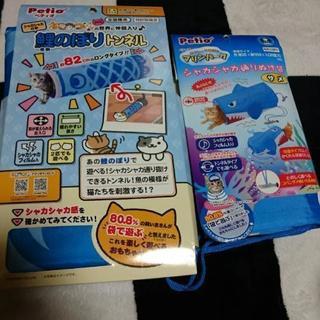 (終了)猫 トンネル