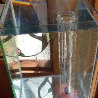 オーバーフロー水槽とメタハラライト