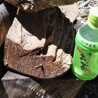 広葉樹ケヤキの薪！【大型ストーブ向け、特大割】。丸2年乾燥。茨城県潮来市。の画像