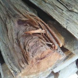 広葉樹ケヤキの薪！【大型ストーブ向け、特大割】。丸2年乾燥。茨城県潮来市。の画像