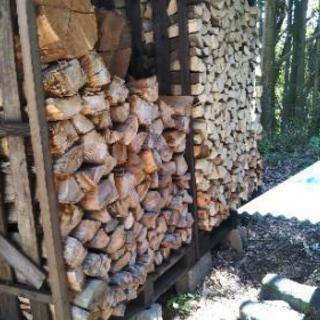 広葉樹ケヤキの薪！【大型ストーブ向け、特大割】。丸2年乾燥。茨城県潮来市。の画像
