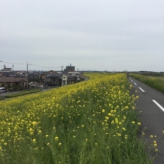 20代サイクリング仲間 ロードバイク