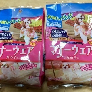 犬用おむつ 5枚