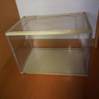 金魚の水槽 さしあげます