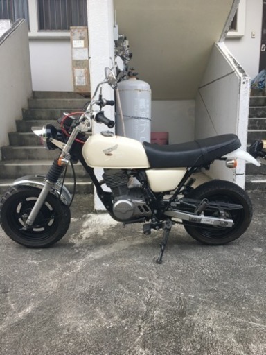 エイプ 100 美車