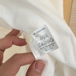 レディース 4L ワイシャツ ブラウス 大きいサイズの画像
