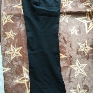 【⠀終了です。】学生服  A185   下 88の画像