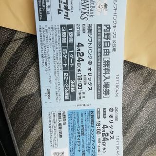 ヤフオク!ドーム野球観戦チケット