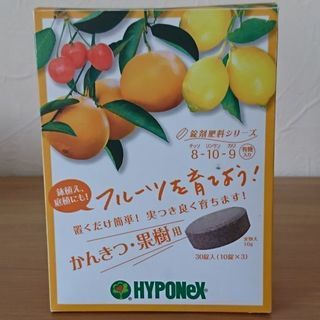 フルーツを育てよう！の画像