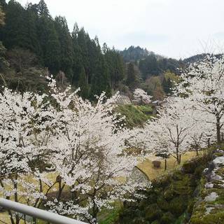 城平山