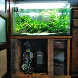 水草水槽一式売りますアクアリウムセットの画像