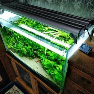 水草水槽一式売りますアクアリウムセットの画像