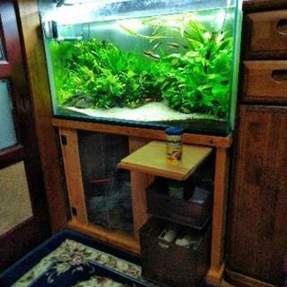 水草水槽一式売りますアクアリウムセットの画像