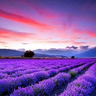 🎆新緑が美しい季節🏞通話ᵃⁿᵈ雑談LINEグループ🌺