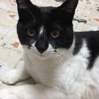 甘えっ子の女の子(*´ω`*)