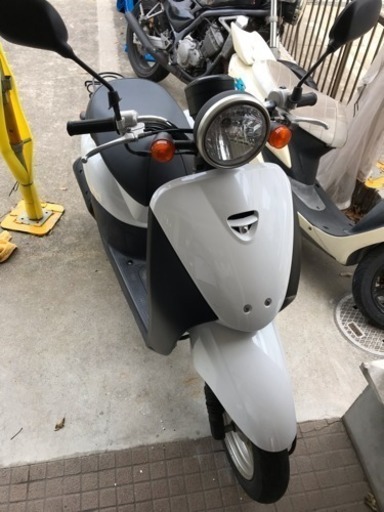 原付 ホンダ トゥデイ af67 ✨美品✨ 値下げ中