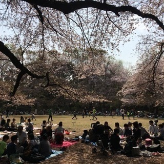[under25]20代で気軽に遊べる友達募集 グルチャ