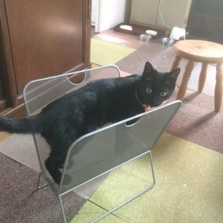 マガジンラック