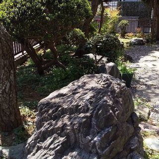 お取引中です。家の建て替えに伴い庭の木を処分する事になりました。