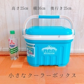小さなクーラーボックス
