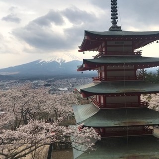 南松ウォーキングクラブ