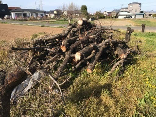 桃、りんご ストーブ用薪