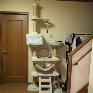キャットタワー　取りに来られる方に差し上げます。
